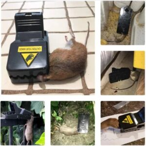 Highly Sensitive Reusable Mouse Trap🌙